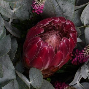 Букет с протеей и розовой вероникой