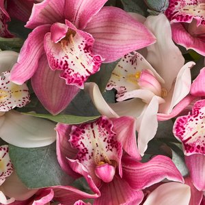 Букет королевских орхидей