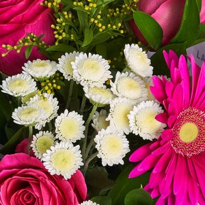 Фиолетовая любовь