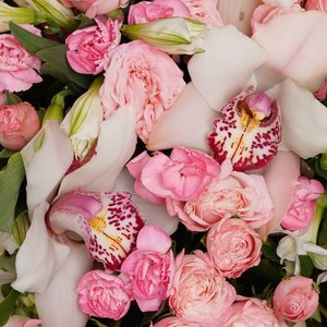 Яркое облако