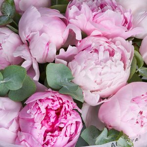 Букет розовых пионов в матовой упаковке