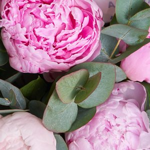 5 пионов с эвкалиптом в стильном оформлении