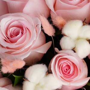 Первое свидание