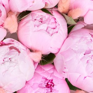 Букет розовых пионов и лагуруса