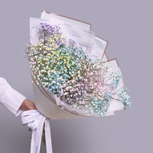 Букет разноцветных гипсофил