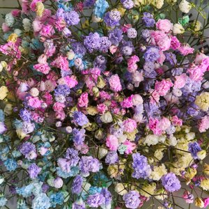 Букетик разноцветных гипсофил