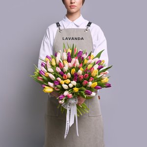 101 Голландский тюльпан