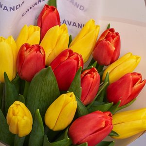 15 тюльпанов в матовой пленке