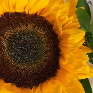 Букетик с солнечным подсолнухом