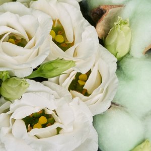 Букет белых эустом с зеленым хлопком