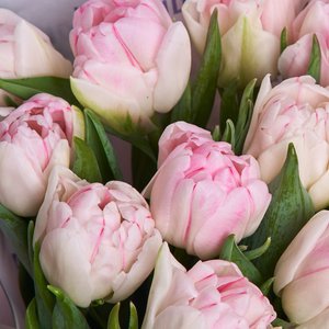 Букет нежных пионовидных тюльпанов