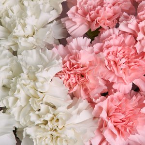 Персиковый букет диантусов