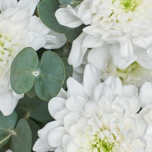 Монобукет белоснежных хризантем