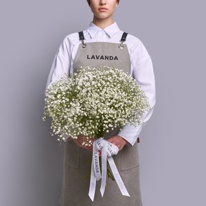 Белые гипсофилы