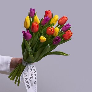 Яркие тюльпаны