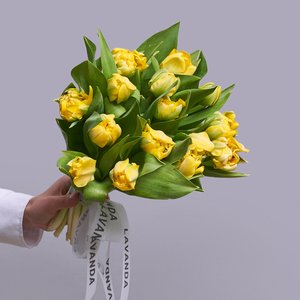 Желтые пионовидные тюльпаны