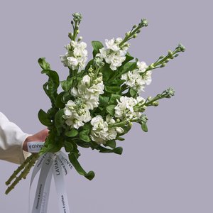 Белые маттиолы