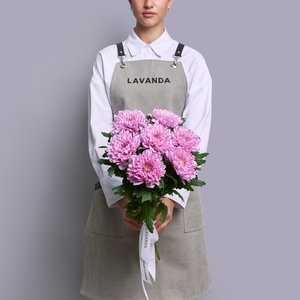 Розовые хризантемы