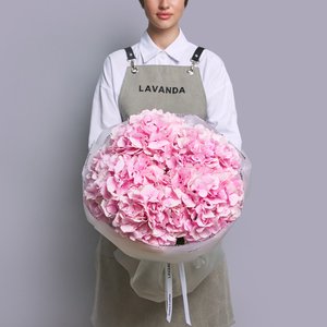 5 розовых гортензий в матовой упаковке