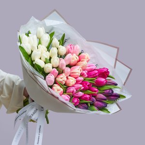 Тюльпановый градиент