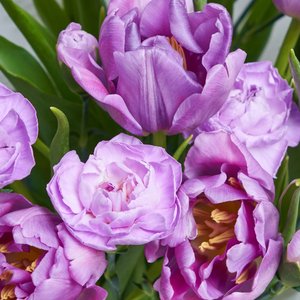 Лиловый сборный букетик