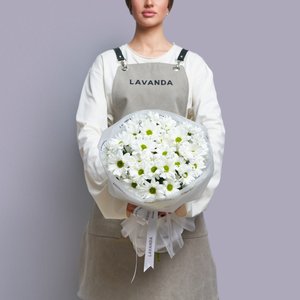 Облако белых хризантем