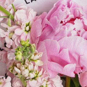 Розовые пионы с маттиолой