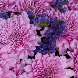 Букет розовых хризантем и синих статиц