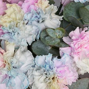 Букет радужных диантусов