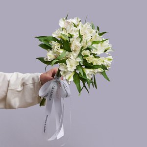 Белые альстромерии