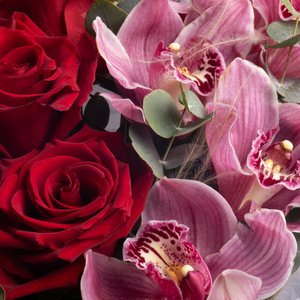 Бордовый букет роз с орхидеями и эвкалиптом в белой пленке