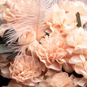 Персиковые диантусы с перьями и ароматным эвкалиптом