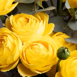 Желтые пионовидные розы с эвкалиптом