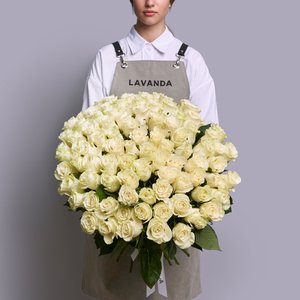 101 белая эквадорская роза 60 см.