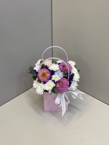 Композиция 116