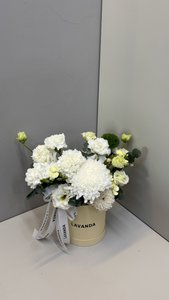 Композиция 113