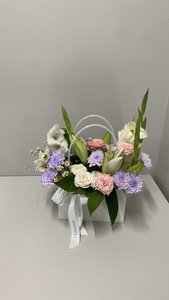 Композиция 556