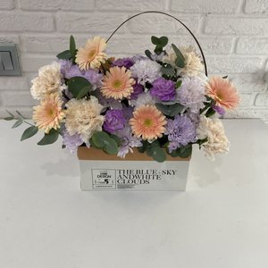 Композиция 55