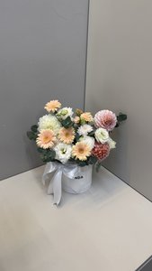 Композиция 174 