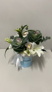 Композиция 415