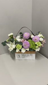 Композиция 23